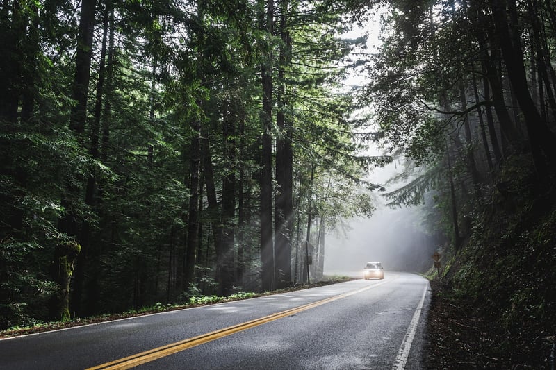 Self-Drive Trips